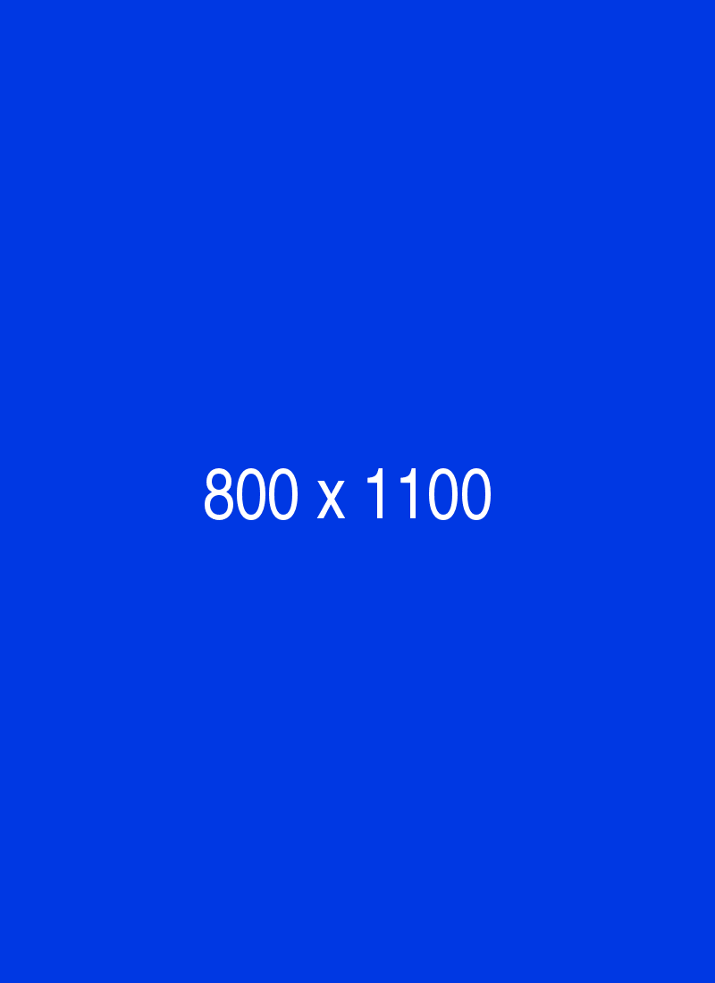 Landing page 30 litho-800×1100-blue-ph