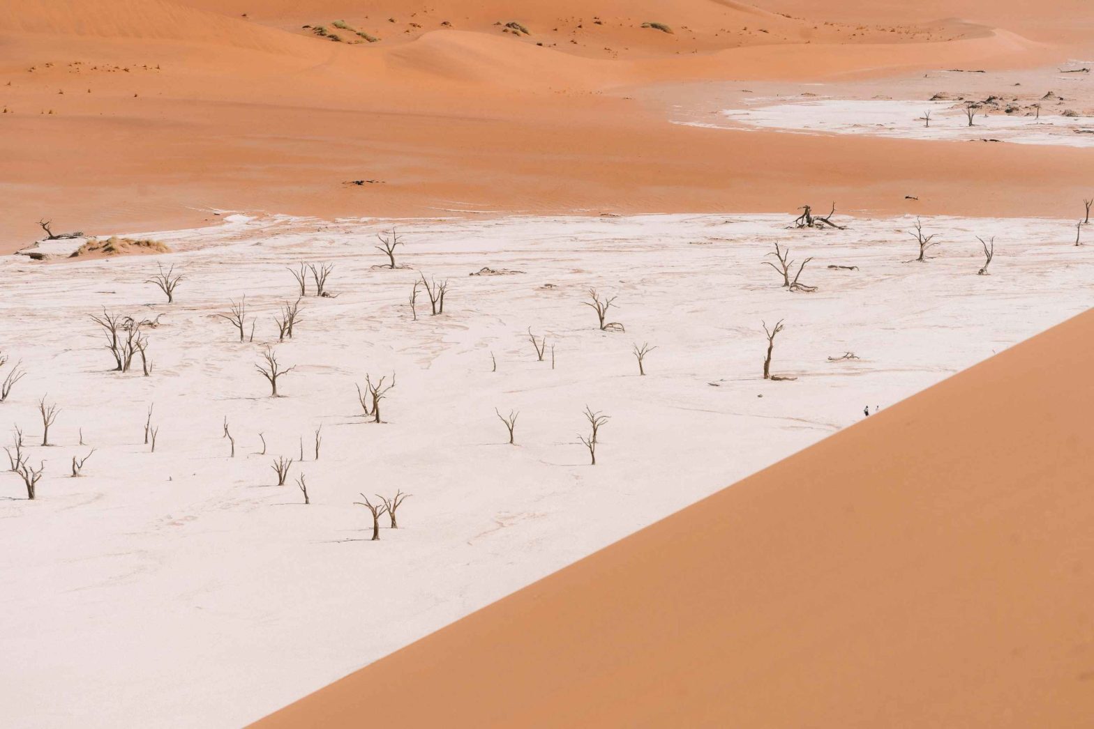 line w q131pxQY8uI unsplash 1 scaled 1